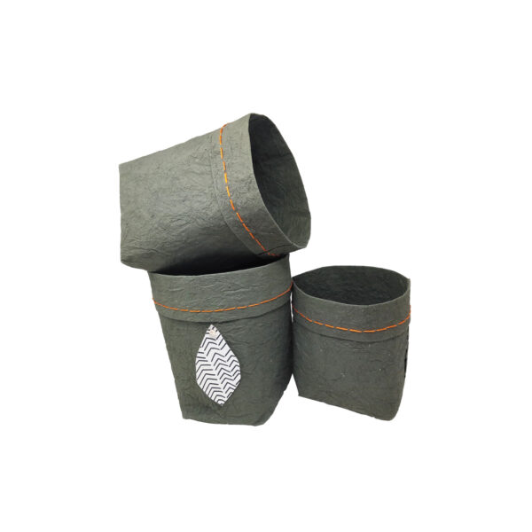 Coffee Green Paper Sack