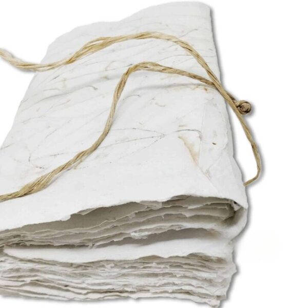 coptic-bind_white_leaf-texture_1