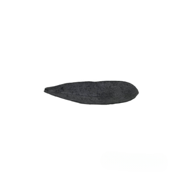Cotton-mache-leaf_Black2