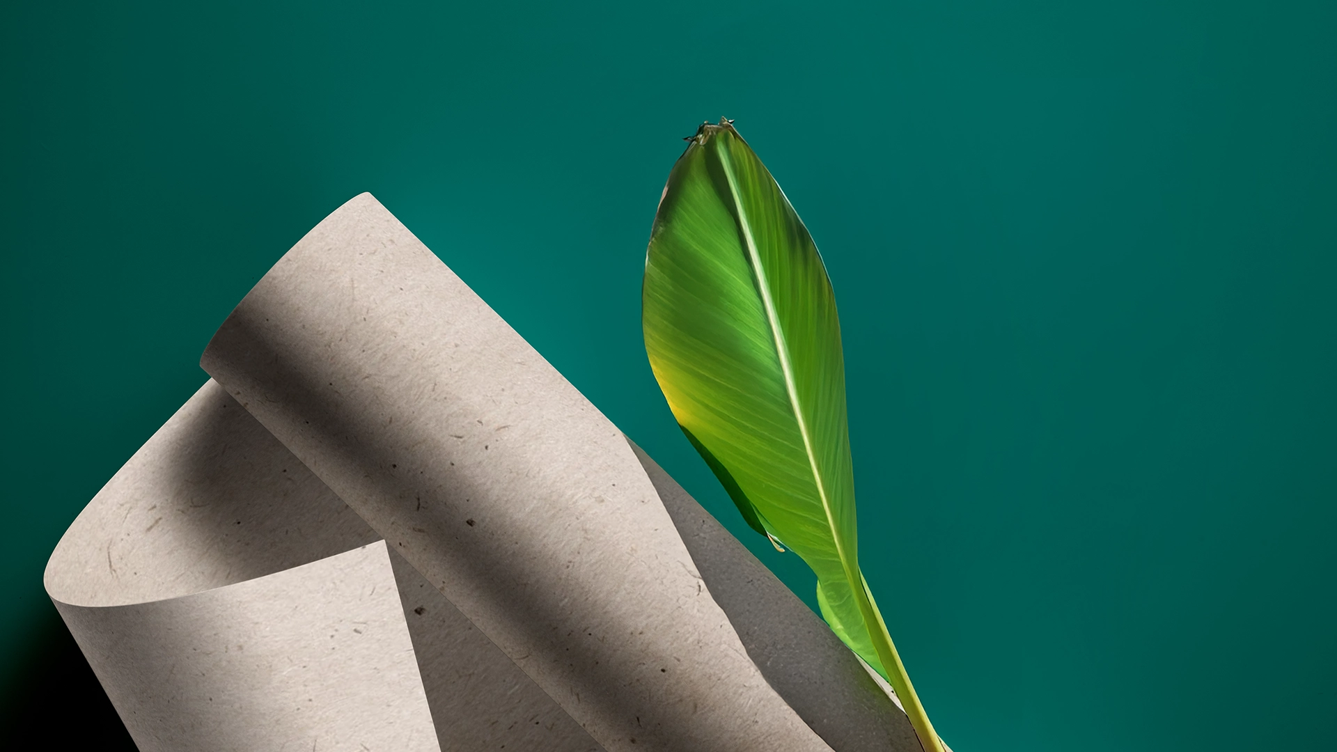 Banana-Paper-bluecat-paper