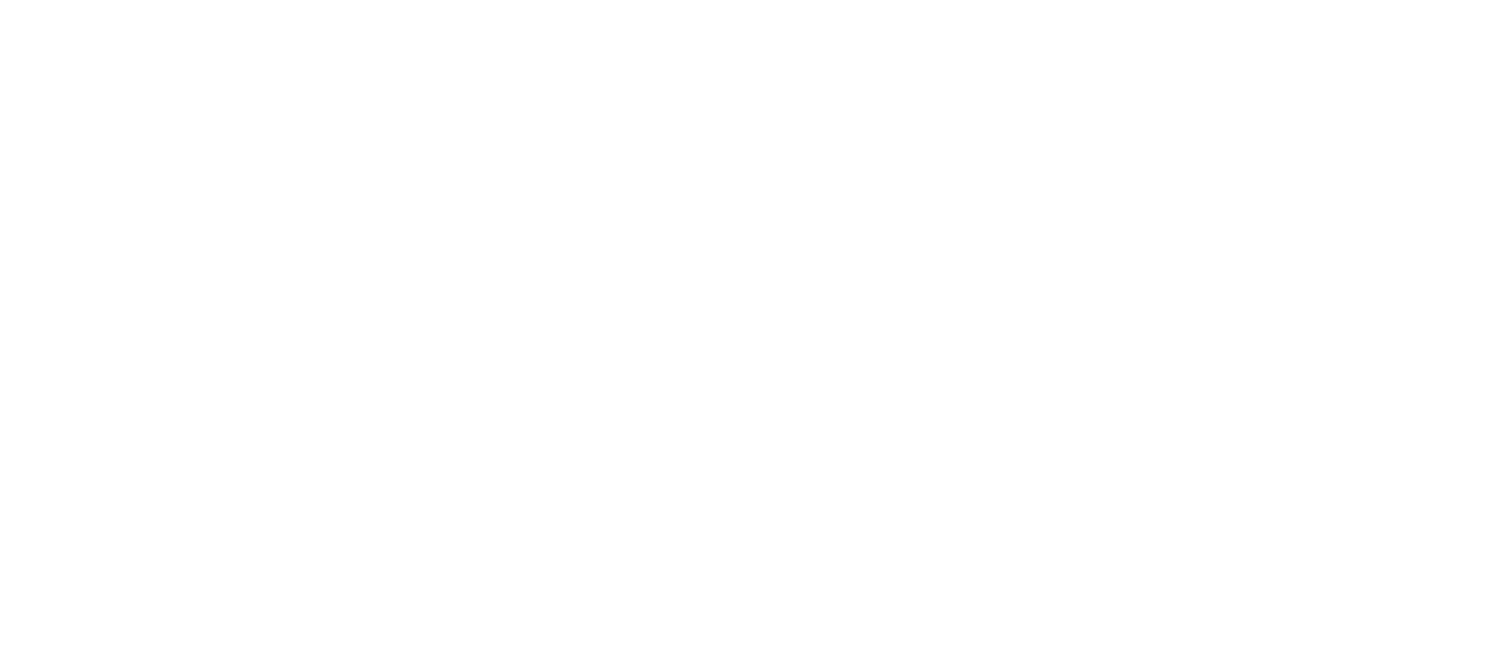 Bluecat Paper, 100% Tree Free Paper